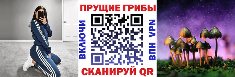 дарнет шоп  Ишим  Псилоцибиновые грибы мухоморы 